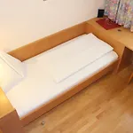 Bokan Guest house Graz